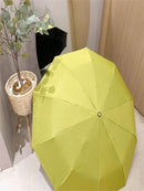 Guarda-Chuva Automático Solar Umbrella 24 Varetas