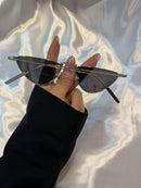 New model sunglasses, 100% UV protection.