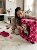 Lisa 3-in-1 Dog and Cat Play Kit
