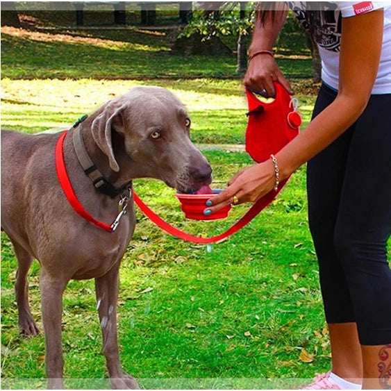 Correa multifunción con soporte para correa y bolsa de agua para pasear a tu mascota, perro o gato. Colores: negro, azul y rojo.